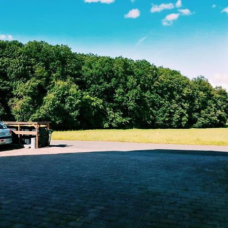 76 Qm Whg Im Eg Haus-Wohlfuehloase Vor Der Haustuer Apartamento Gladenbach Exterior foto